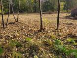Продаётся земельный участок в Ахалшени, в селе Ганахлеба - фото 1