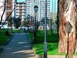 #ПРОДАЖА #СТУДИЯ В БАТУМИ – У МОРЯ! - фото 3