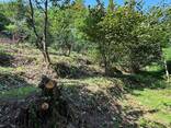Продажа участка - фото 3