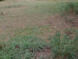 Продажа земли