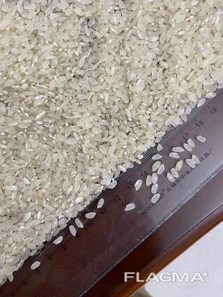 Рис круглый