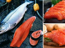 Рыба и Море продукты