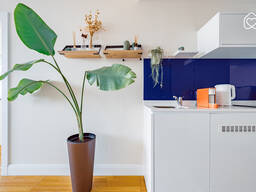 Сдача двухкомнатных апартаментов в Батуми