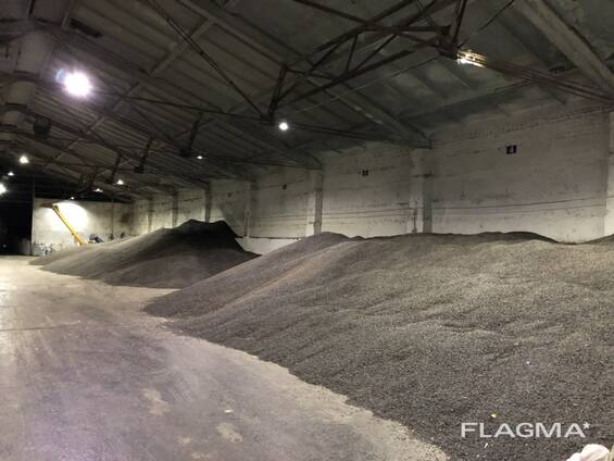 Семечка подсолнечника 38