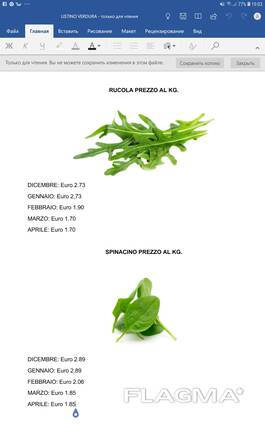 Шпинат, рукола из Италии