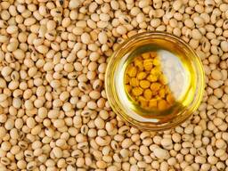 Soybean oil/სოიოს ზეთი