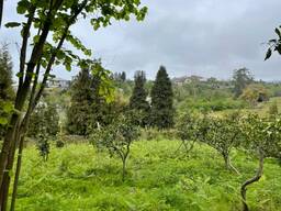 СРОЧНО участок гораздо ниже рыночной цены с видом на море