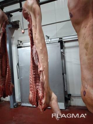 Свинина оптом 1-2 категории