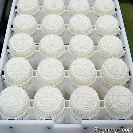 Сырные формы (блок-формы для само-прессования сыра)