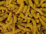Turmeric from Vietnam
