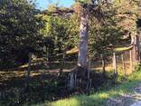 Участок - photo 5