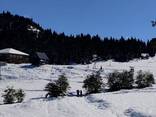 Участок в курортном Гомардули - фото 1