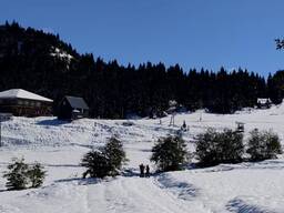 Участок в курортном Гомардули