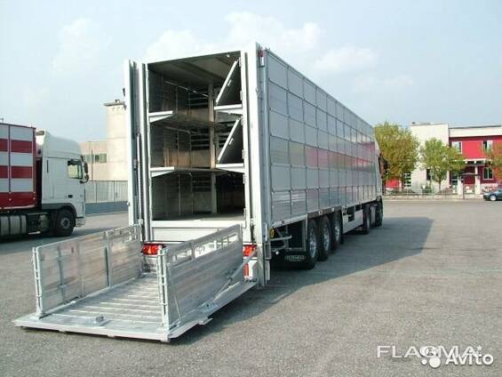 Услуги скотовоза