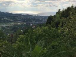 В Кобулети, в селе Горгадзееби, продается участок с старым домом