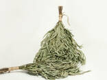 Веники из эвкалипта сезон 2026 - фото 2