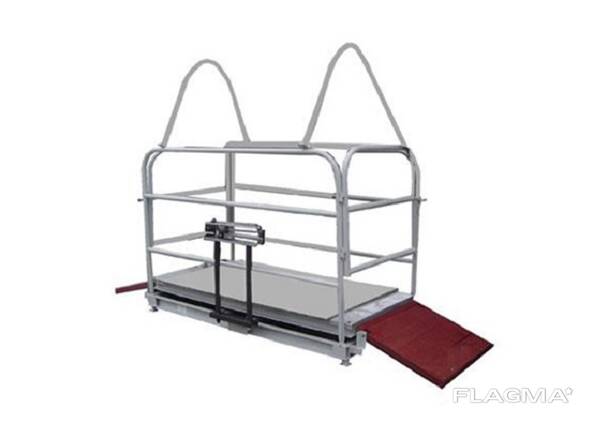 Весы для КРС и телят