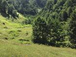 Видовой участок 1 га в горах Аджарии под турбазу / eco-resort - photo 2