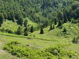 Видовой участок 1 га в горах Аджарии под турбазу / eco-resort - photo 3
