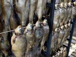 Вяленая рыба от производителя опт-крупный опт - фото 2