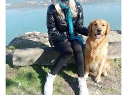 Выгул животных