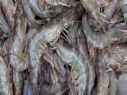 Wholesale Premium Seafood Prawns Frozen Vannamei Shrimp/ Quality White Prawns/ Healthy Fro