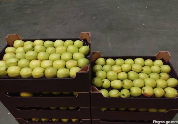 Яблоки из Польши! Apples from Poland!