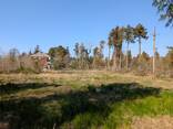 Земельный участок - photo 5