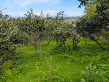 Земельный участок - фото 3