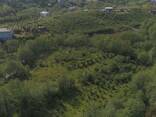Земельный участок - photo 1
