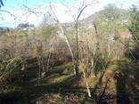 Земельный участок Батуми Ахалшени/Land plot Batumi Akhalsheni - фото 6