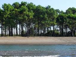 Земельный участок на первой линии моря в курортном поселке Григолети