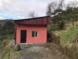 Земельный участок с домом в Батуми- Гантияди -Land plot with a house in Batumi - Gantiyadi - photo 7