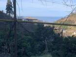 Земельный участок с домом в Батуми- Гантияди -Land plot with a house in Batumi - Gantiyadi - photo 6