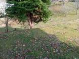 Земельный участок с видом на море Букнари Грузия/Land plot with sea view Buknari Georgia - фото 7