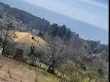 Земельный участок с видом на море Цихисдзири Грузия/Land plot with sea view Tsikhisdziri - photo 5