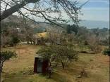 Земельный участок с видом на море Цихисдзири Грузия/Land plot with sea view Tsikhisdziri - photo 6