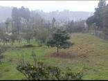 Земельный участок с видом на море Цихисдзири Грузия/Land plot with sea view Tsikhisdziri - photo 7