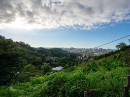 მიწის ნაკვეთი ბათუმში