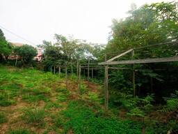 მიწის ნაკვეთი ბათუმში