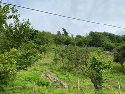 Земельный участок в Батуми Гонио/Land plot in Batumi Gonio