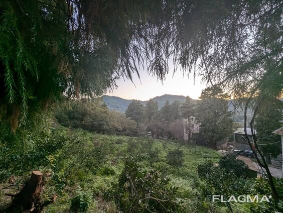 Земельный участок в селе Ахалшени