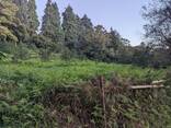 Земельный участок в селе Ахалшени - фото 2