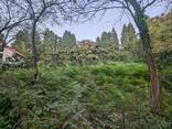 Земельный участок в селе Ахалшени - фото 7