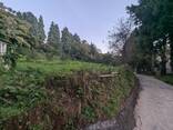 Земельный участок в селе Ахалшени - фото 8