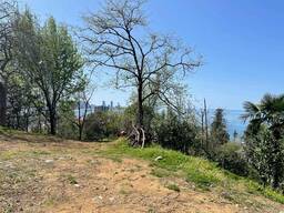 Земельные участки в батуми