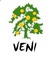 Veni, LLC